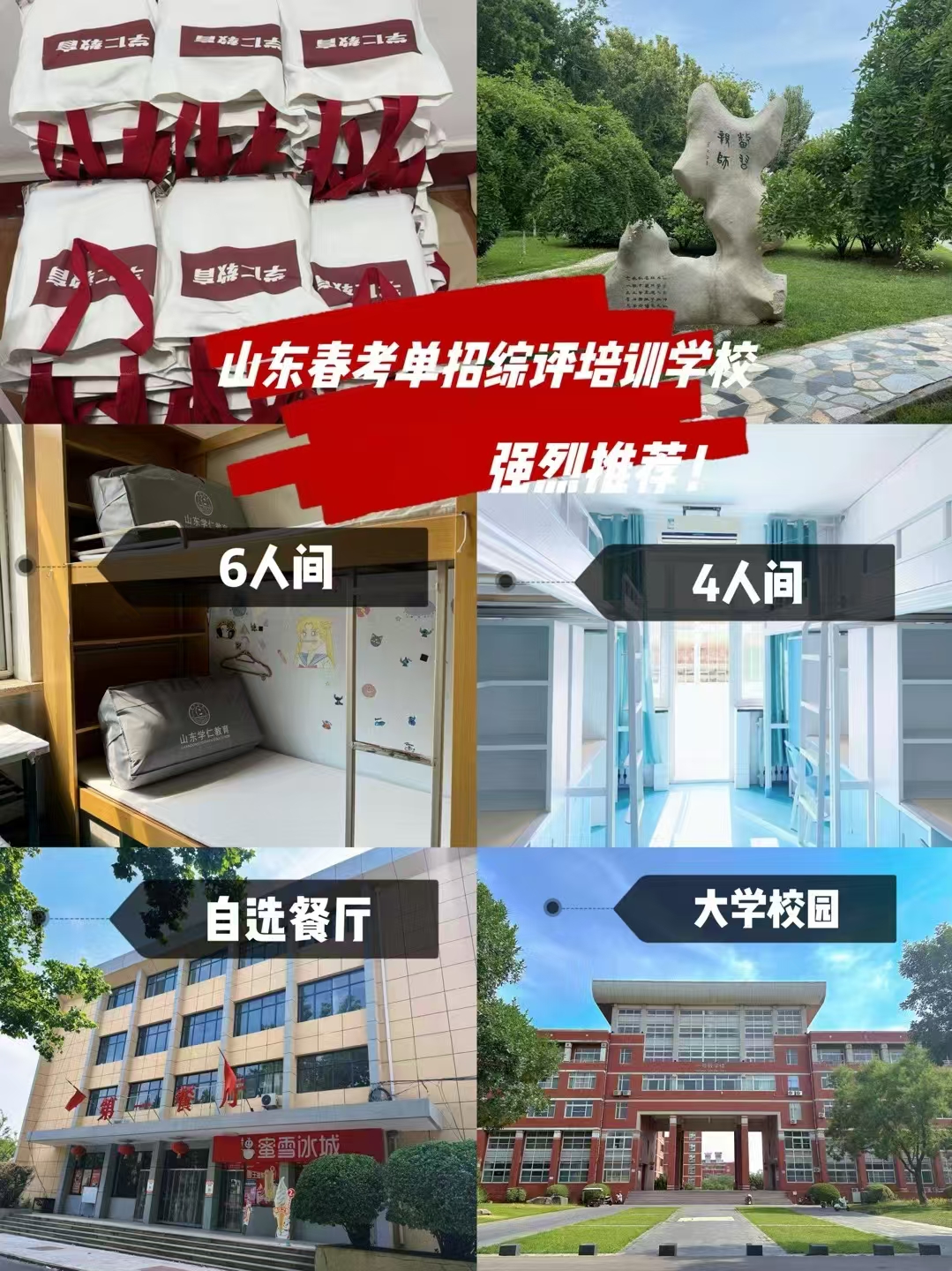 山东学仁教育26年春考、单招、综评招生简章